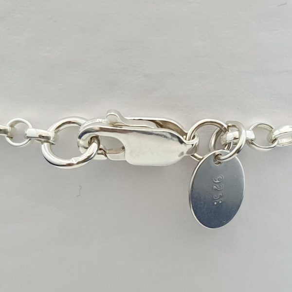 Frost - Frosted Charm Bracelet Bracelet - Image 3