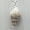 Ivory - Shell Pendant - Image 2